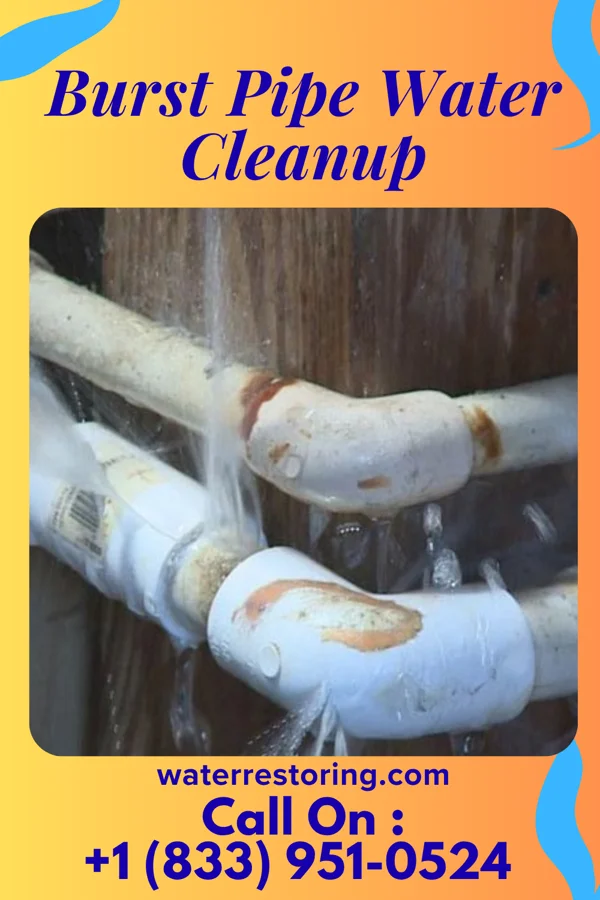 Burst Pipe Water Cleanup in Forest Grove, OR