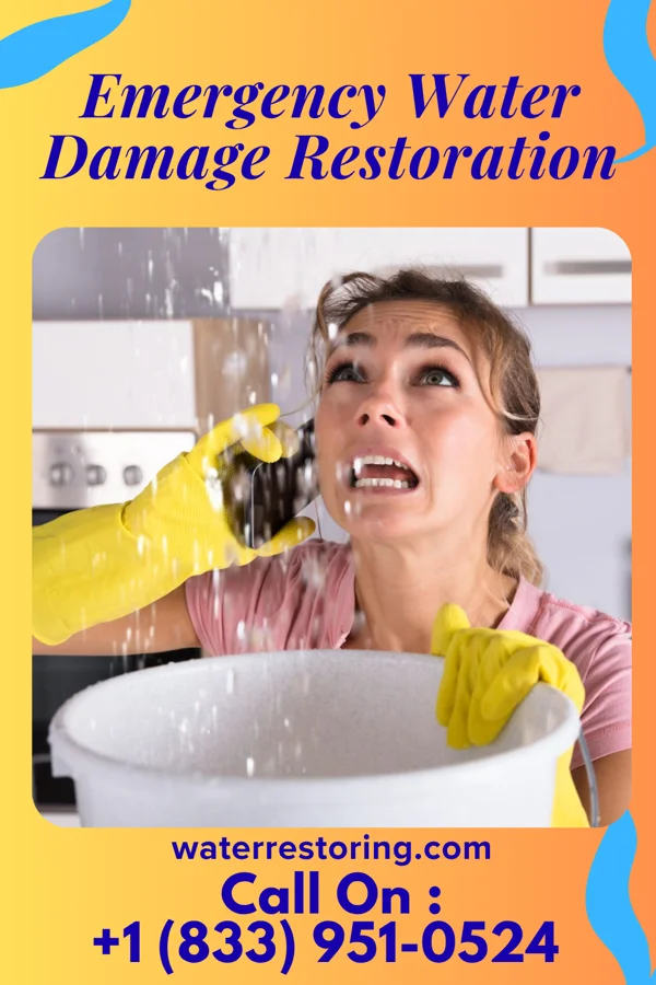 Emergency Water Damage Restoration in Forest Grove, OR