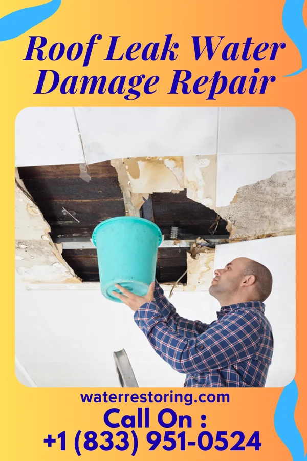 Roof Leak Water Damage Repair in Forest Grove, OR