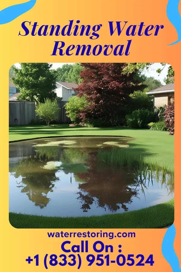 Standing Water Removal in Forest Grove, OR
